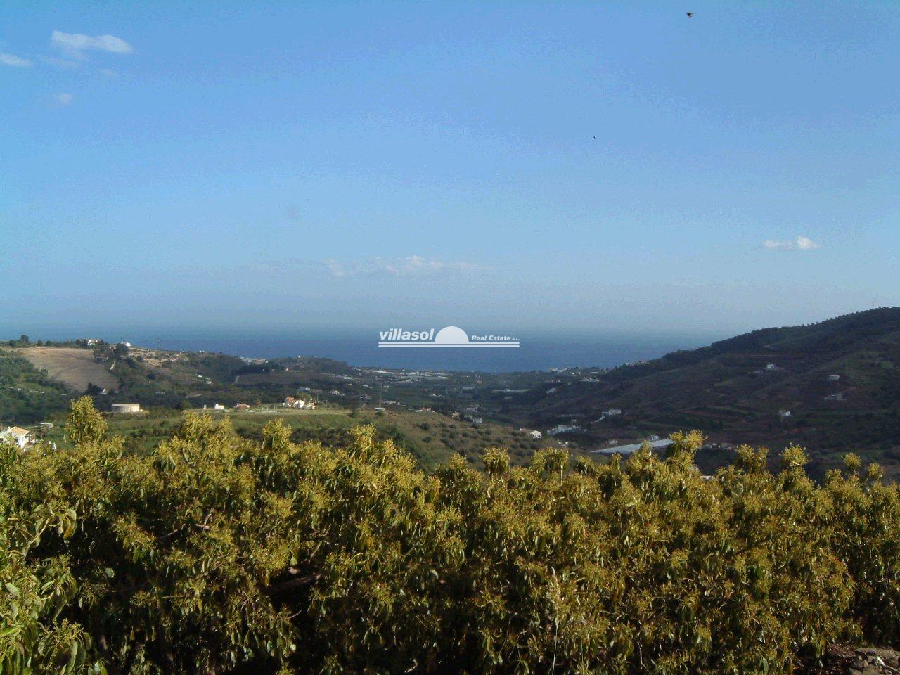 A Plot Of Land With Good Road Access Of 50.000m For Sale In Frigiliana